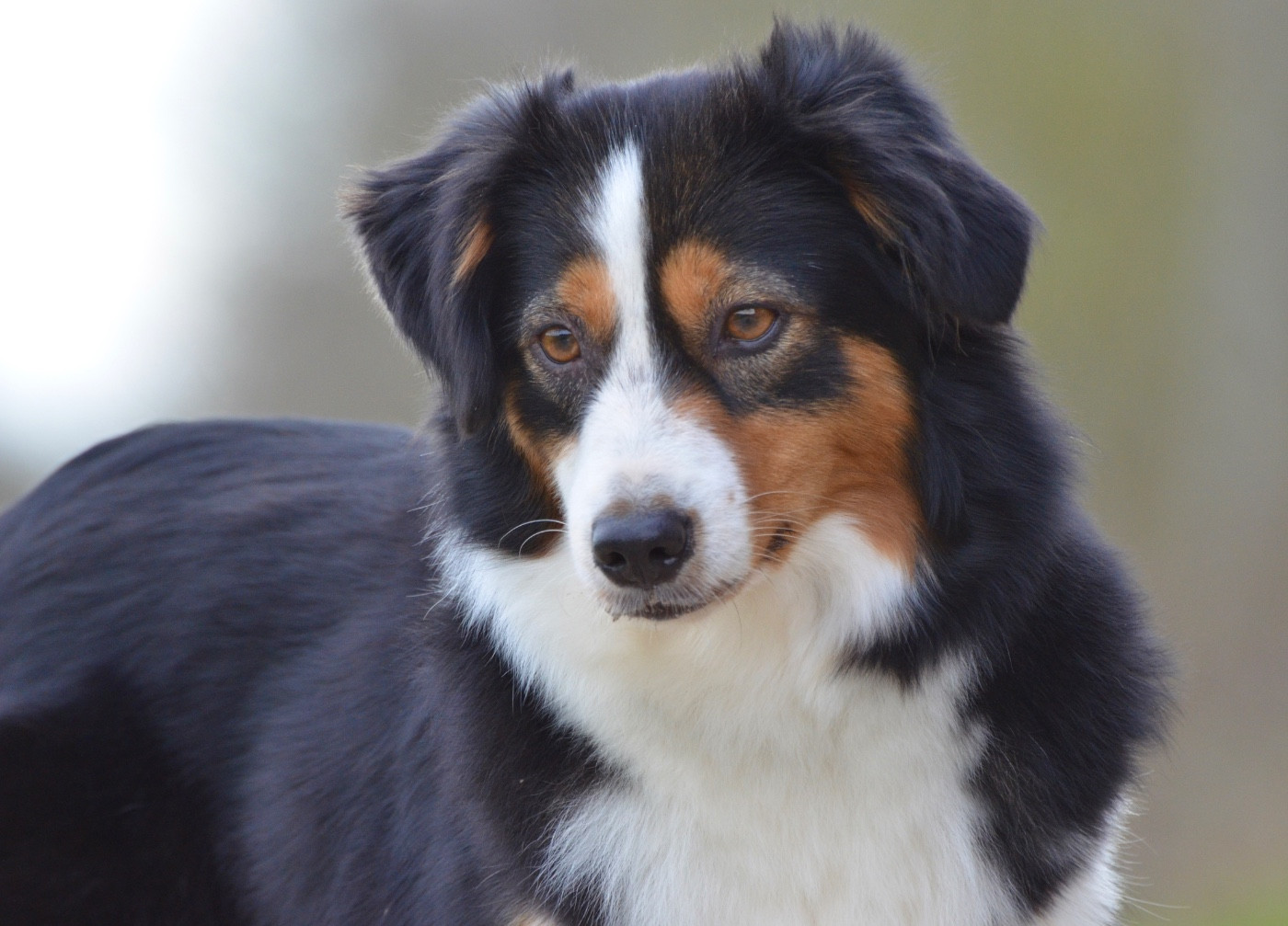 Tropical florida In Parigi