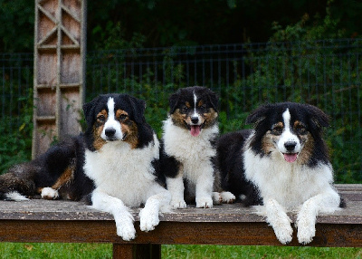 Amérindienne Haïka