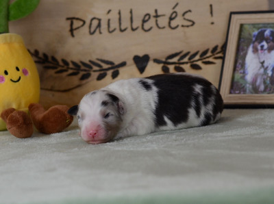 Back to michigan River